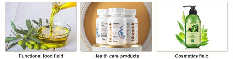 Olive extract Powde.jpg